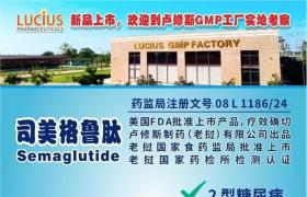 司美格鲁肽（Rybelsus、Semaglutide、索马鲁肽，说明使用